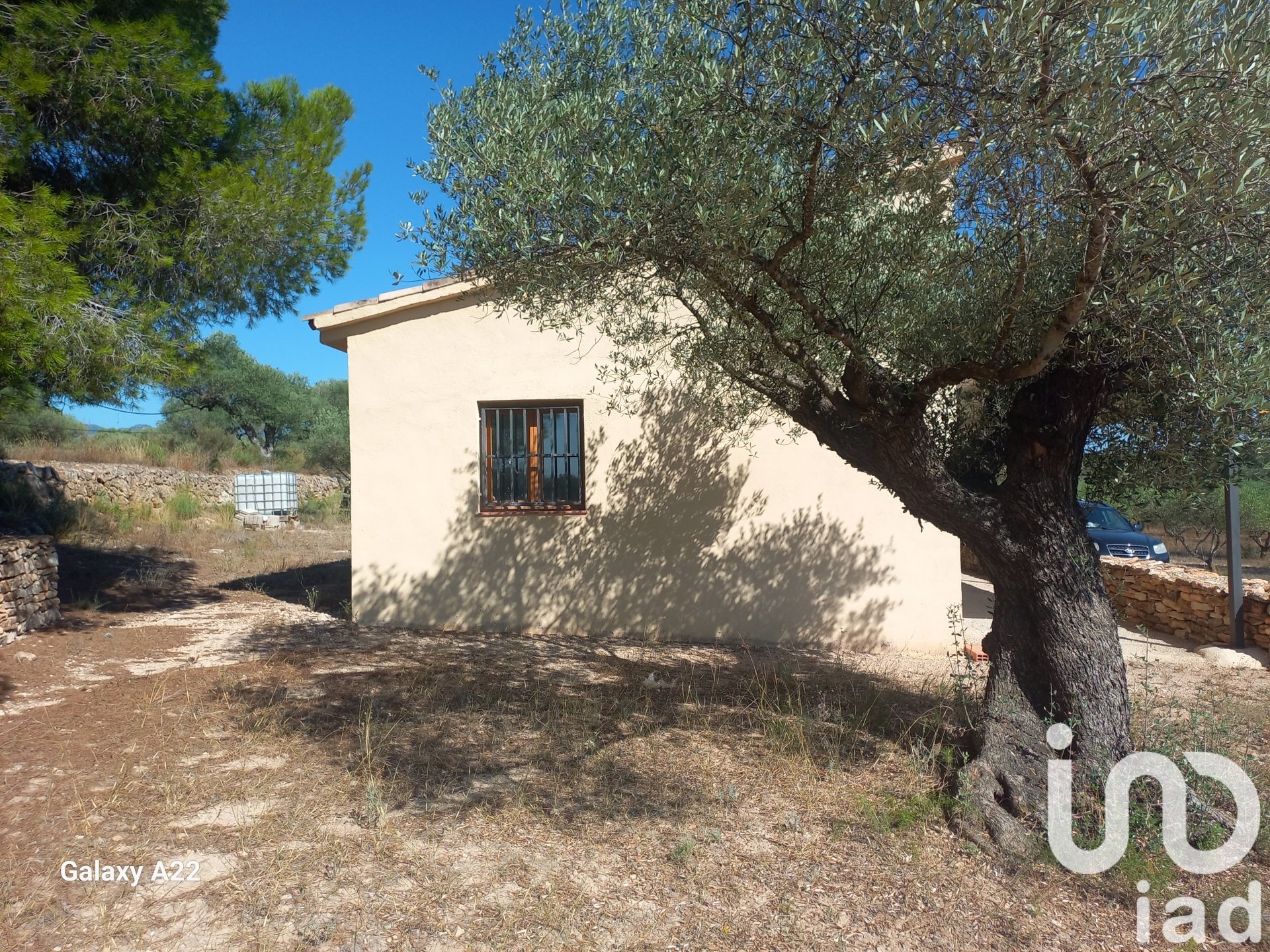 Land in Ginestar, Tarragona, Spanien 46791 m2 Nr. 185781