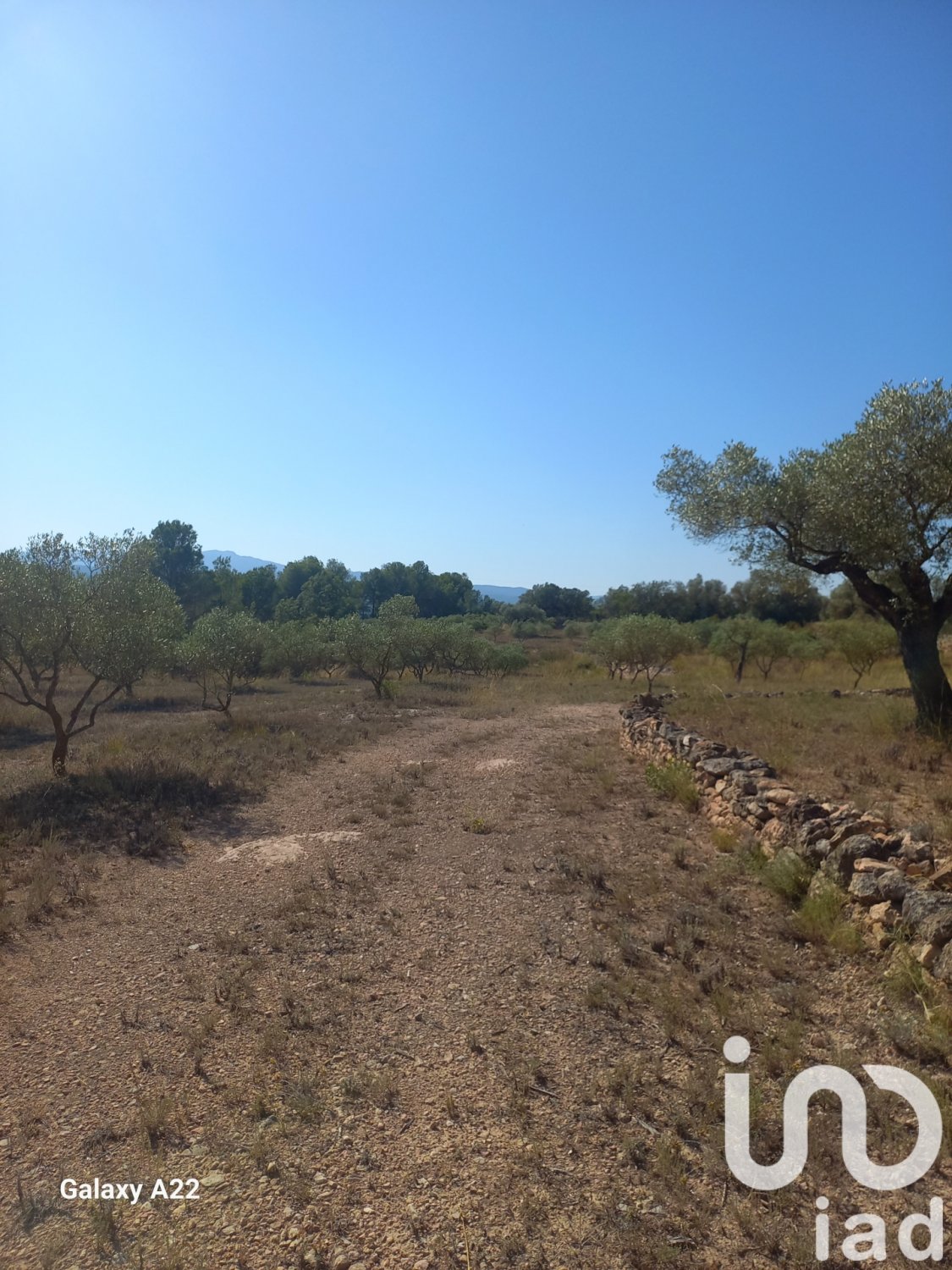 Land in Ginestar, Tarragona, Spanien 46791 m2 Nr. 185781