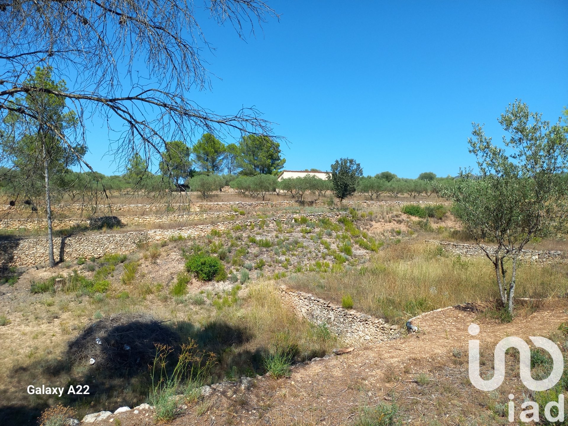 Land in Ginestar, Tarragona, Spanien 46791 m2 Nr. 185781