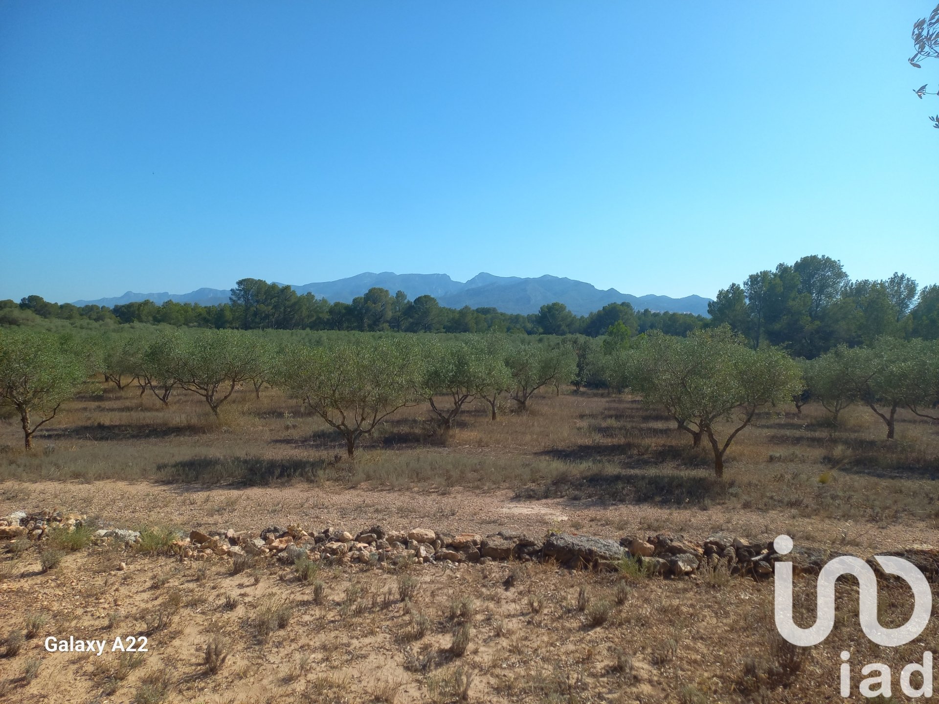 Land in Ginestar, Tarragona, Spanien 46791 m2 Nr. 185781