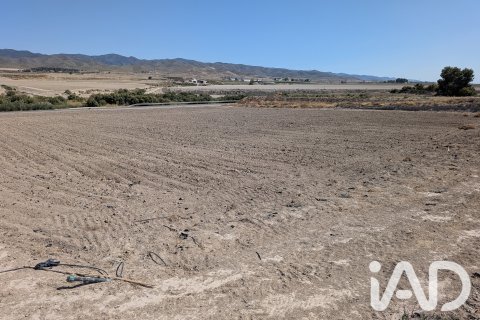 Commercial property in Lorca, Murcia, Spain No. 194408