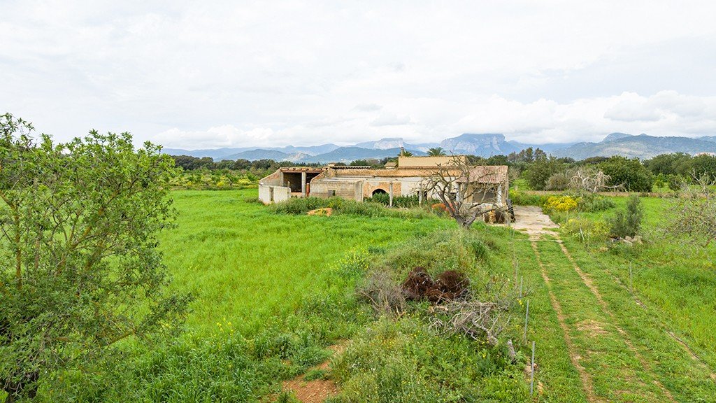 Land plot à Binissalem, Mallorca, Espagne 430 m2 No. 143537