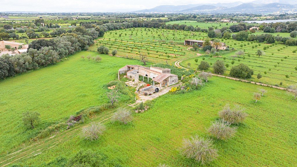Land plot à Binissalem, Mallorca, Espagne 430 m2 No. 143537