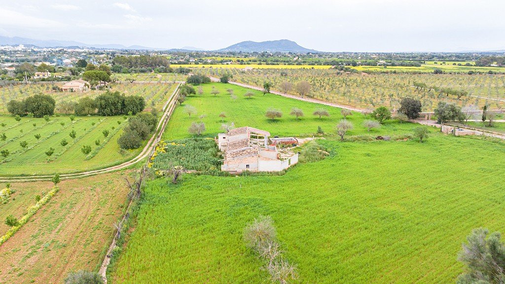 Land plot à Binissalem, Mallorca, Espagne 430 m2 No. 143537