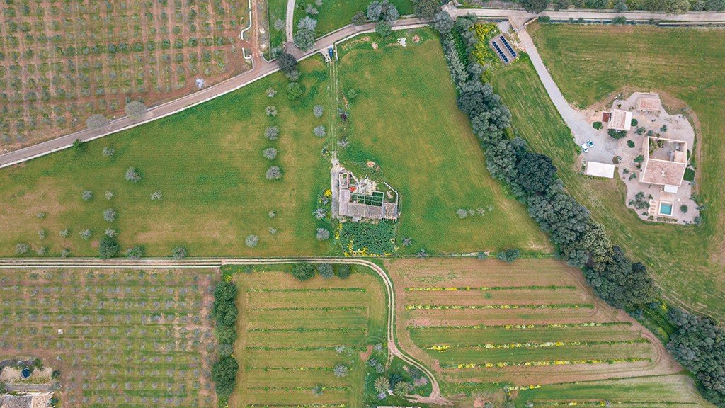 Land plot à Binissalem, Mallorca, Espagne 430 m2 No. 143537