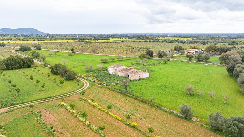 Land plot à Binissalem, Mallorca, Espagne 430 m2 No. 143537