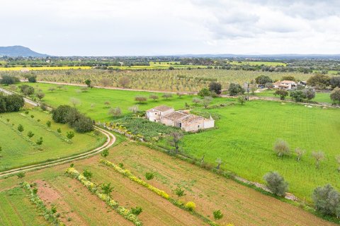 Land plot in Binissalem, Mallorca, Spain 430 sq.m. No. 143537