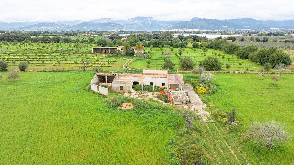 Land plot à Binissalem, Mallorca, Espagne 430 m2 No. 143537