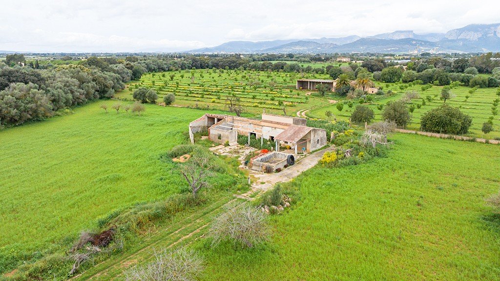 Land plot à Binissalem, Mallorca, Espagne 430 m2 No. 143537