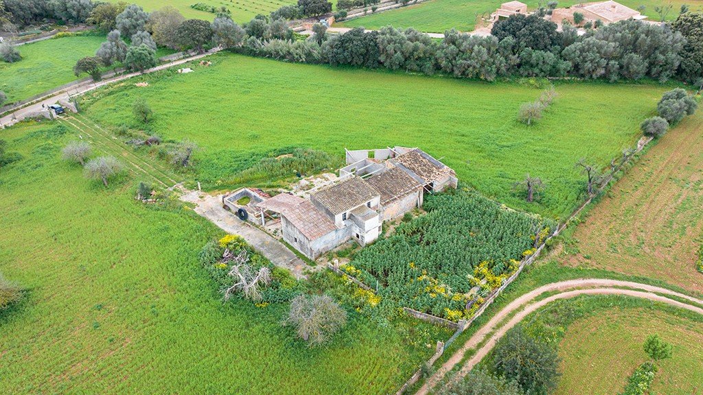 Land plot à Binissalem, Mallorca, Espagne 430 m2 No. 143537