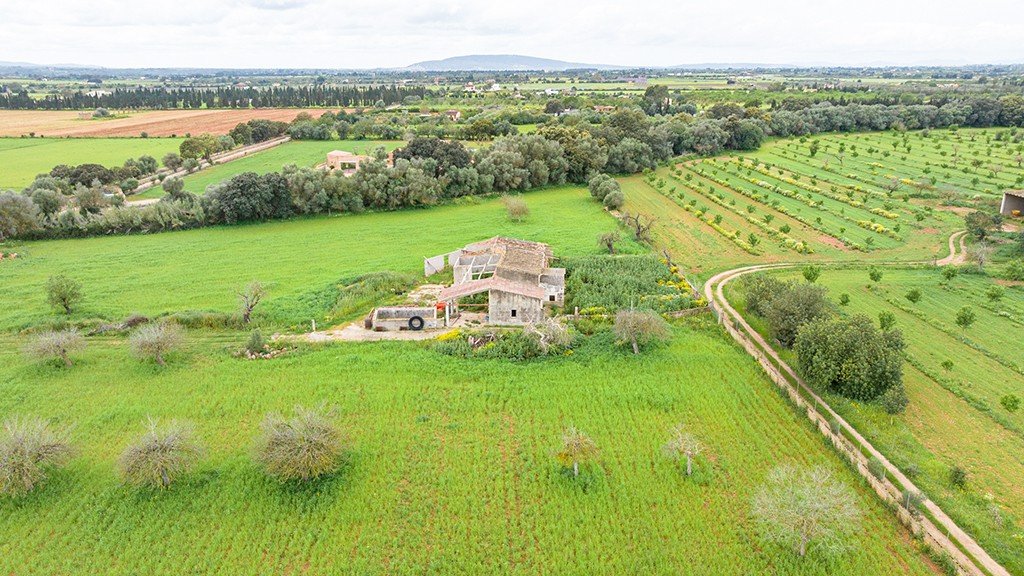 Land plot à Binissalem, Mallorca, Espagne 430 m2 No. 143537