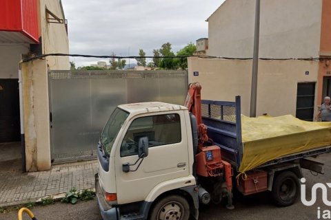Tontti Palma de Majorca, Mallorca, Espanja 444 m2 No. 153797