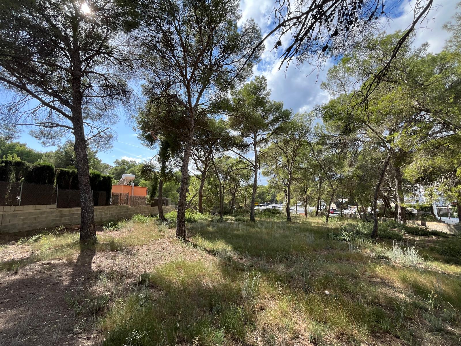 Działka w Santa Ponsa, Mallorca, Hiszpania 1188 mkw. nr 138704