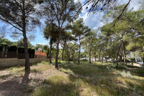 Land plot in Santa Ponsa, Mallorca, Spain 1188 sq.m. No. 138704