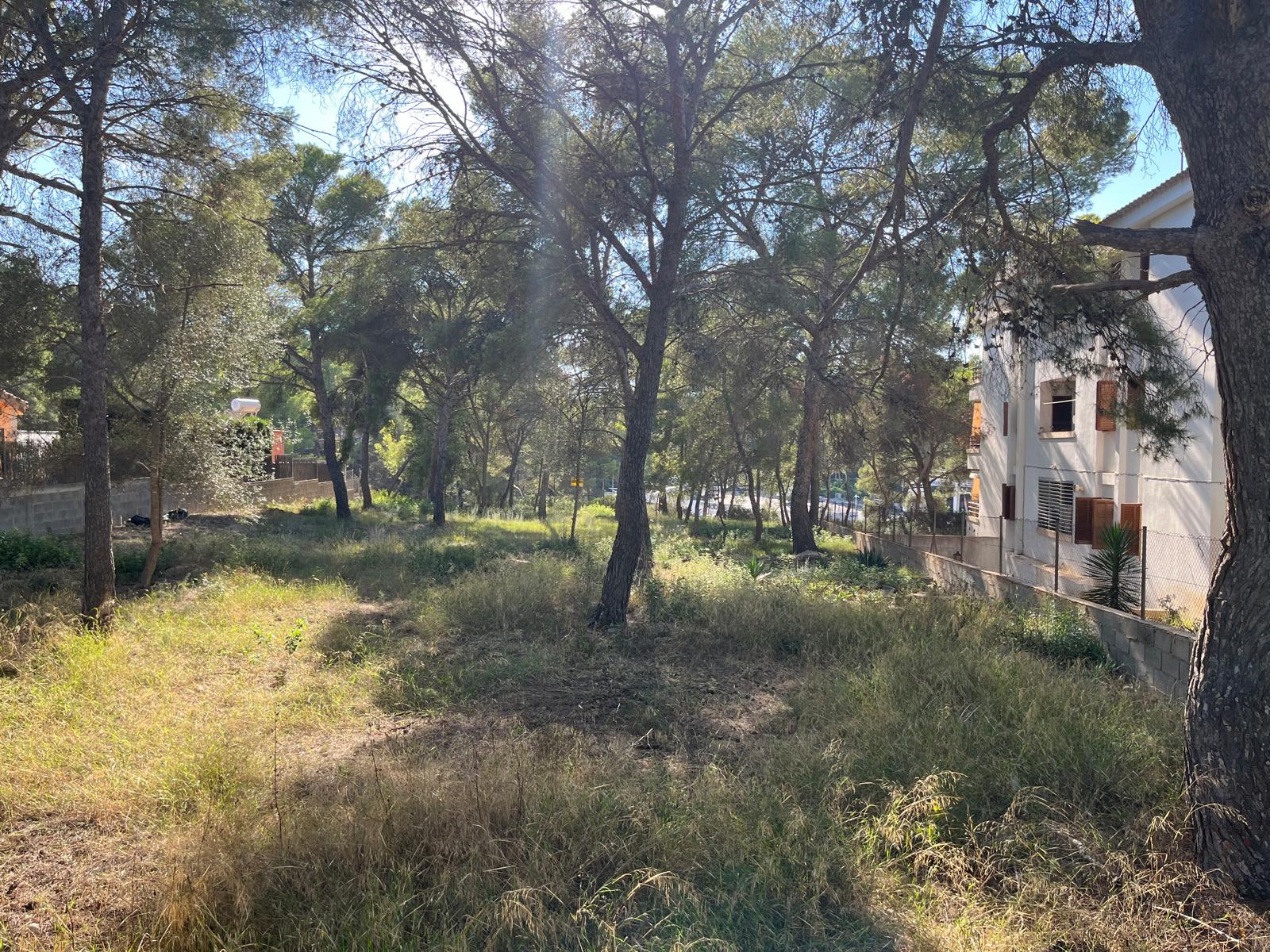 Działka w Santa Ponsa, Mallorca, Hiszpania 1188 mkw. nr 138704