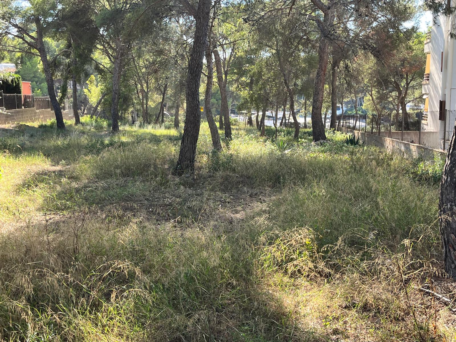 Działka w Santa Ponsa, Mallorca, Hiszpania 1188 mkw. nr 138704