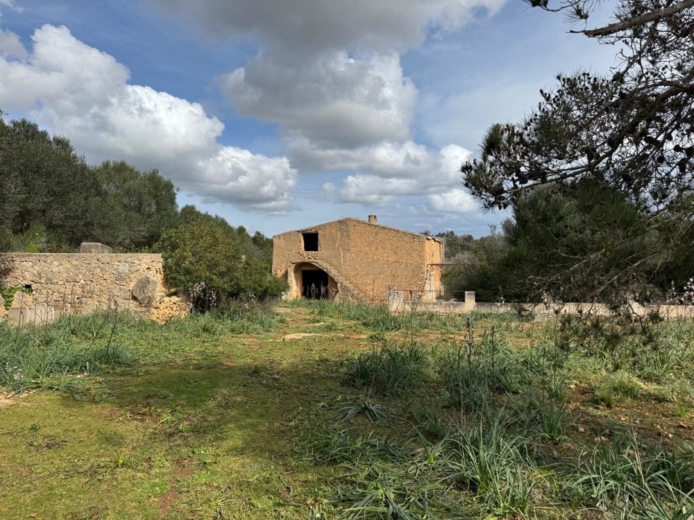 Działka w Algaida, Mallorca, Hiszpania nr 109859
