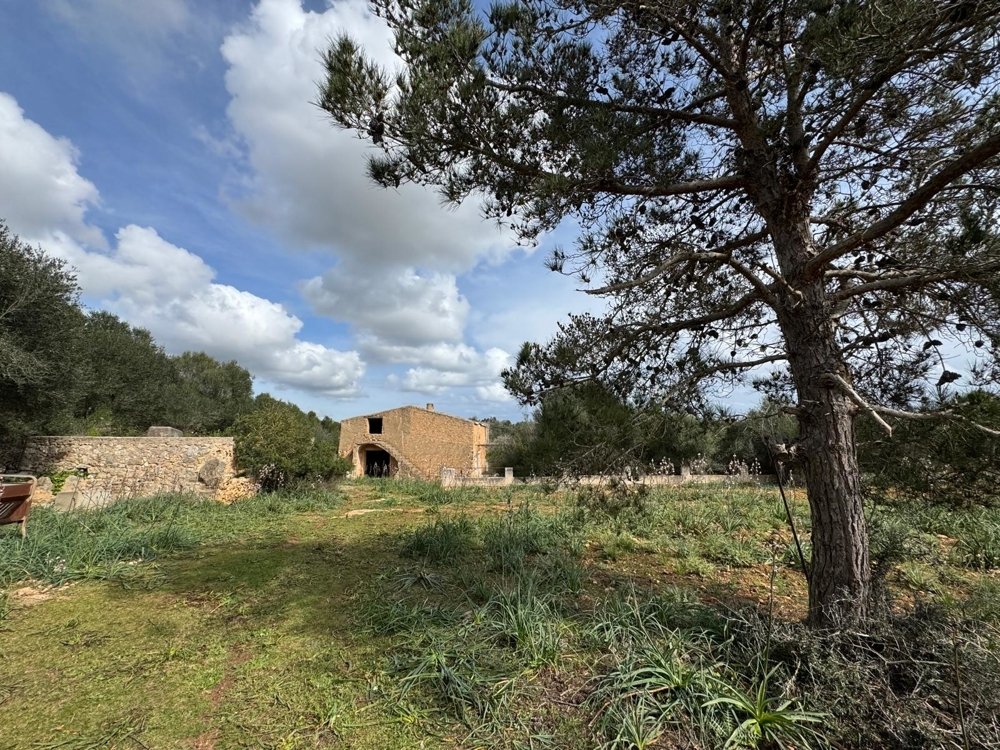 Działka w Algaida, Mallorca, Hiszpania nr 109859