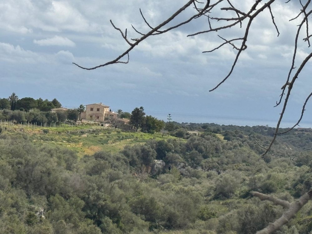 Działka w Algaida, Mallorca, Hiszpania nr 109859