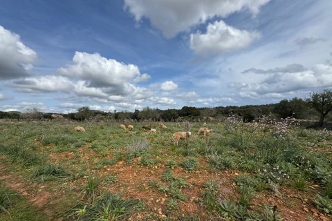 Land plot à Algaida, Mallorca, Espagne No. 109859