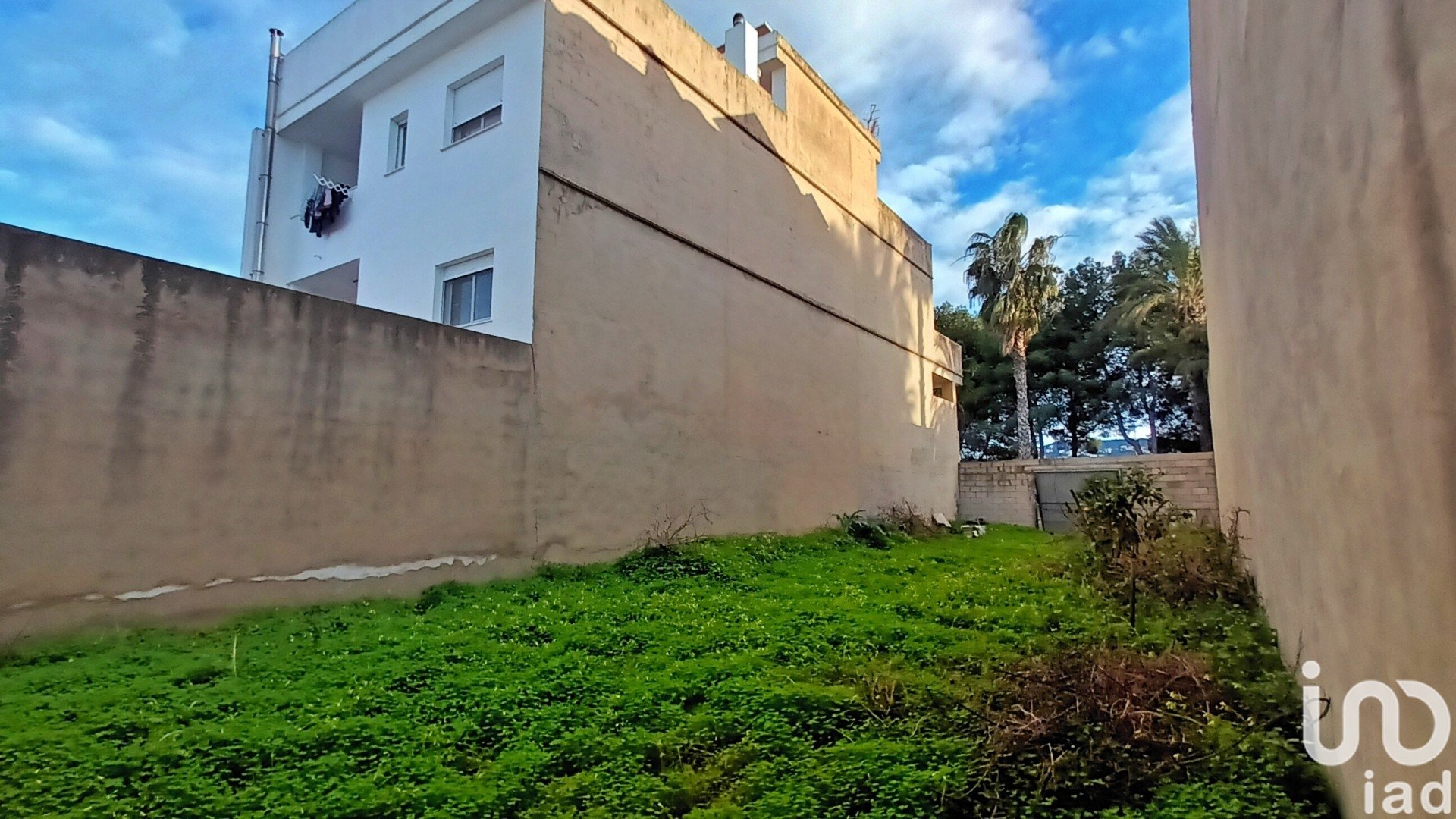Land in Bellreguard Poble, Valencia, Spanien 207 m2 Nr. 186019