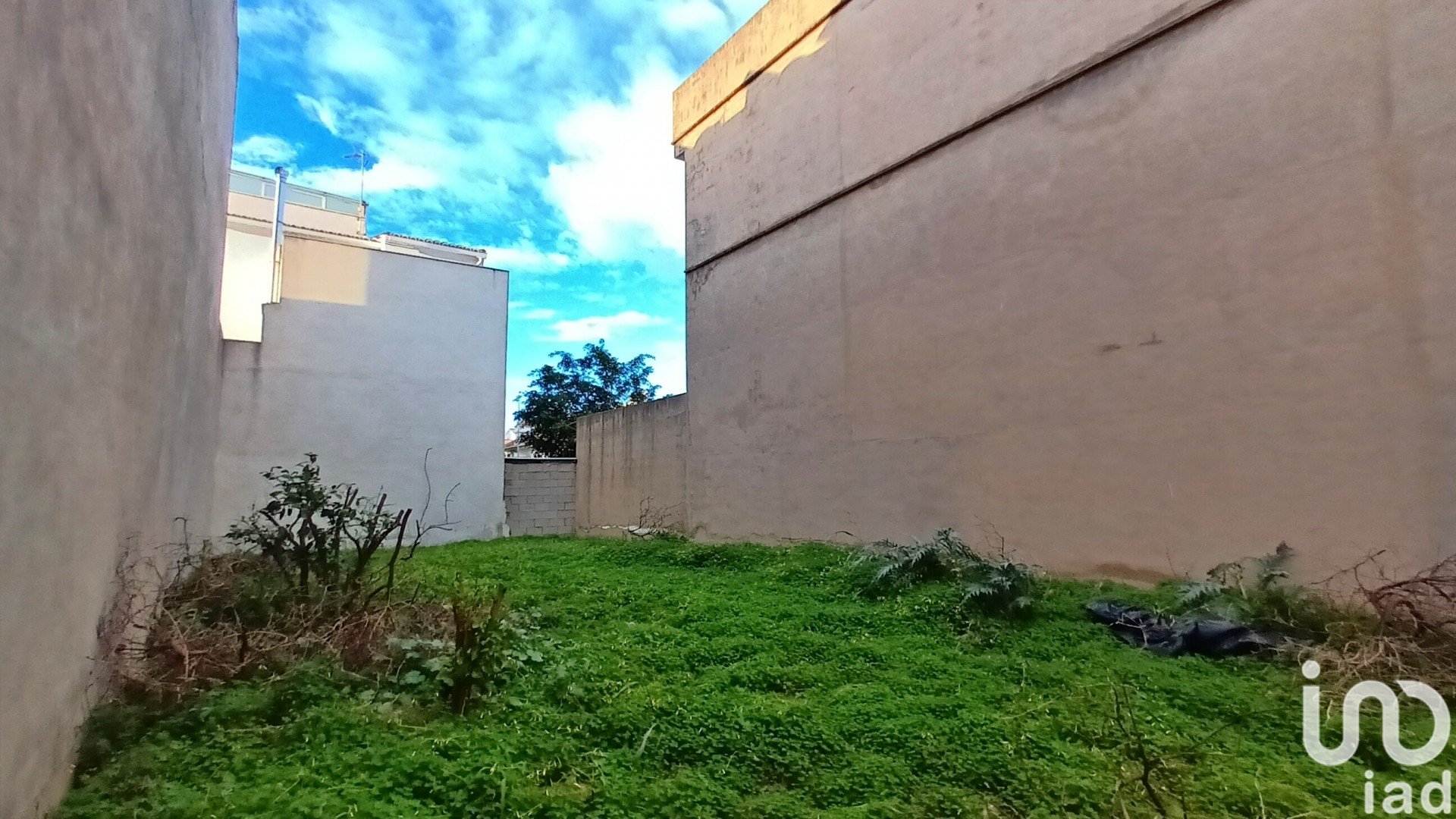 Land in Bellreguard Poble, Valencia, Spanien 207 m2 Nr. 186019