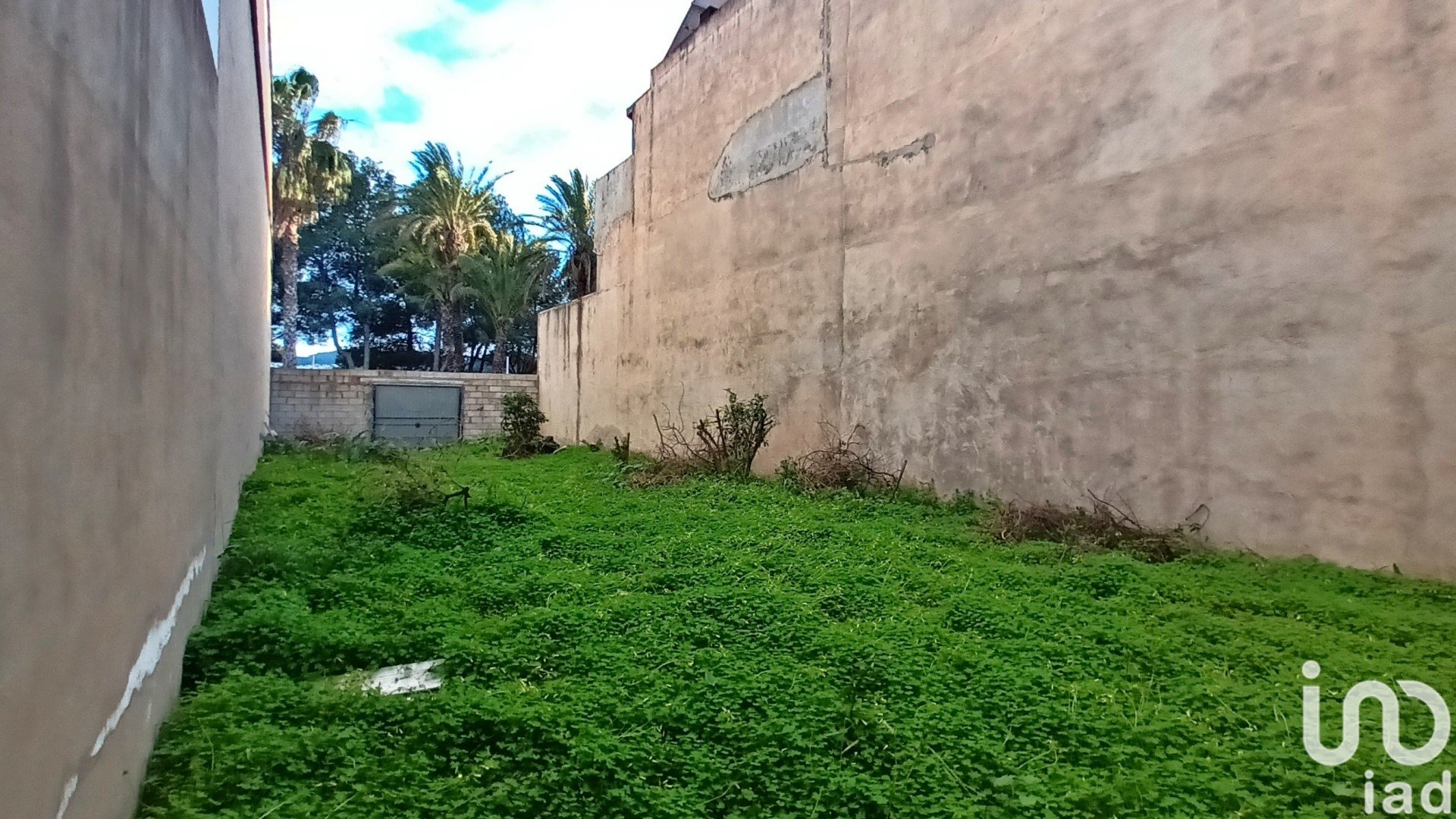 Land in Bellreguard Poble, Valencia, Spanien 207 m2 Nr. 186019