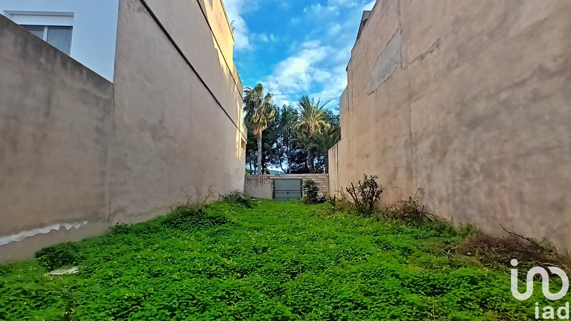 Land in Bellreguard Poble, Valencia, Spanien 207 m2 Nr. 186019