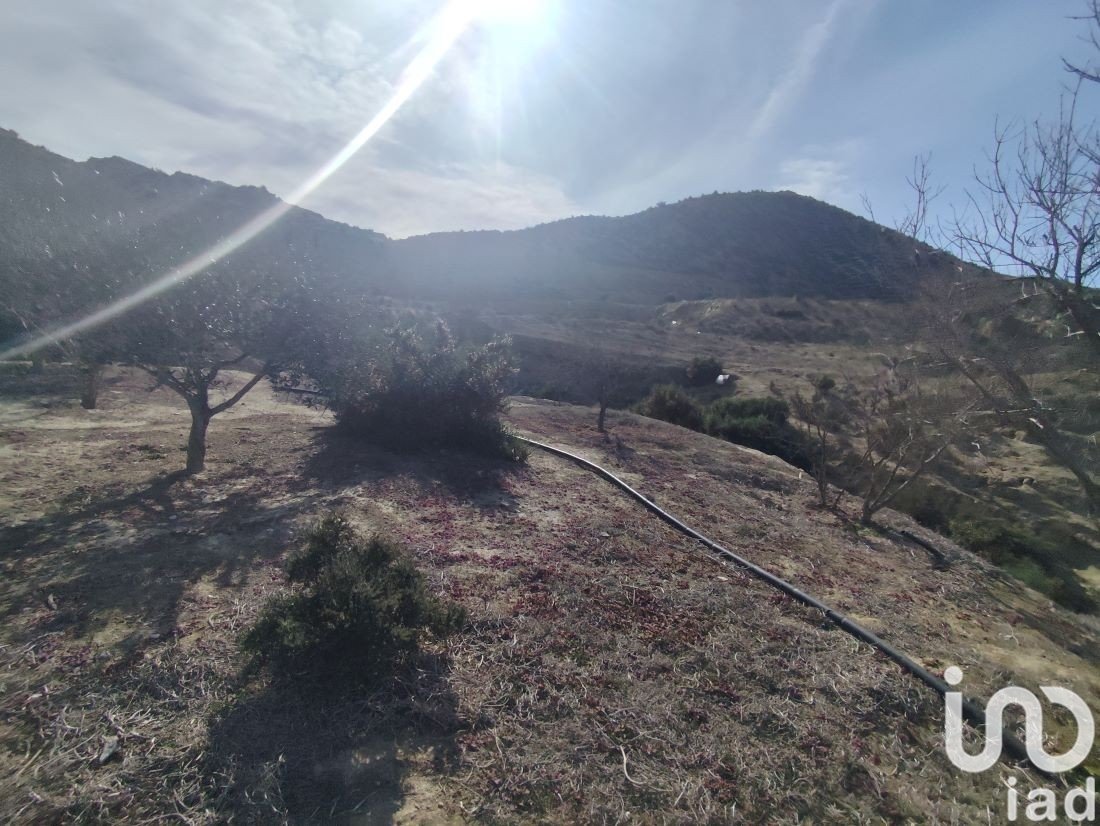 Parcela en Almería, España 32999 m2 No. 186016