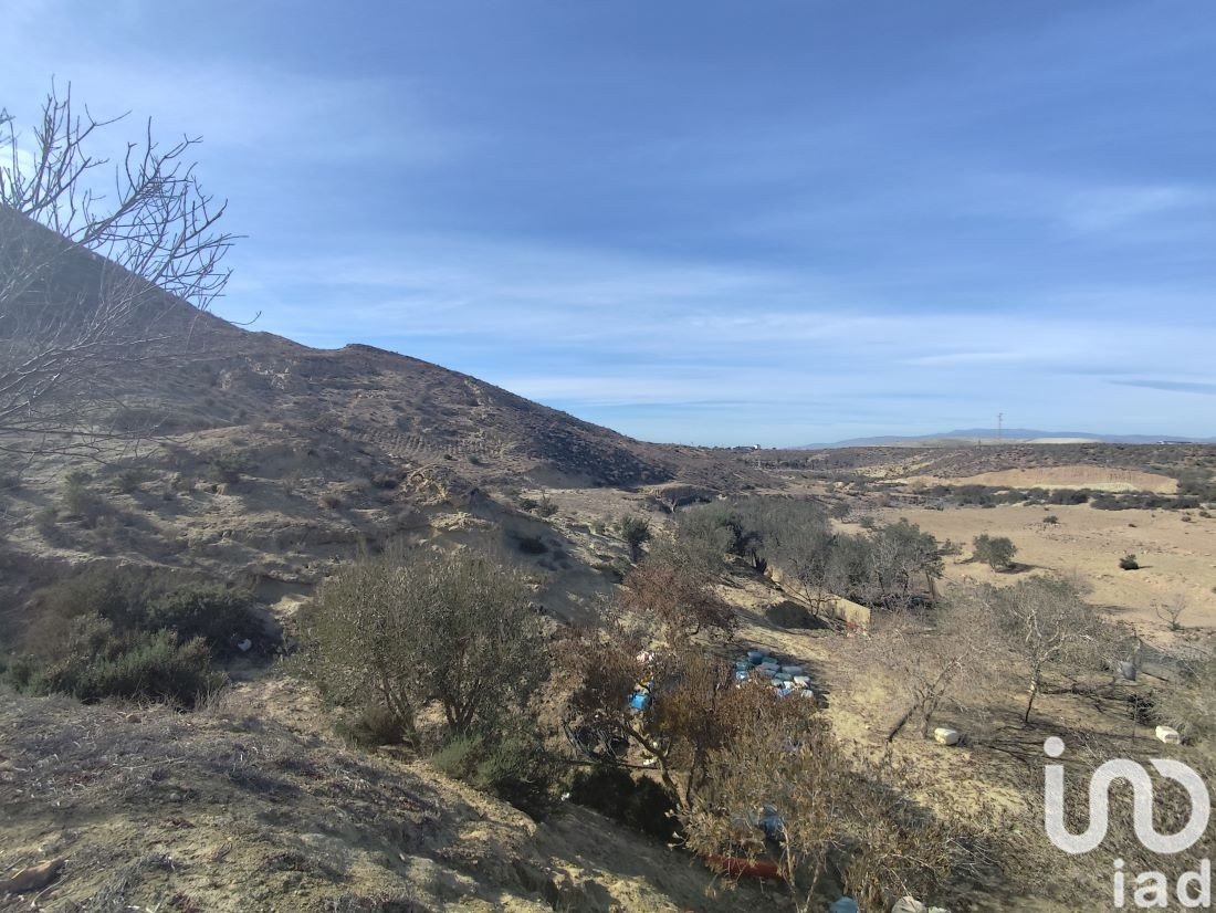 Parcela en Almería, España 32999 m2 No. 186016