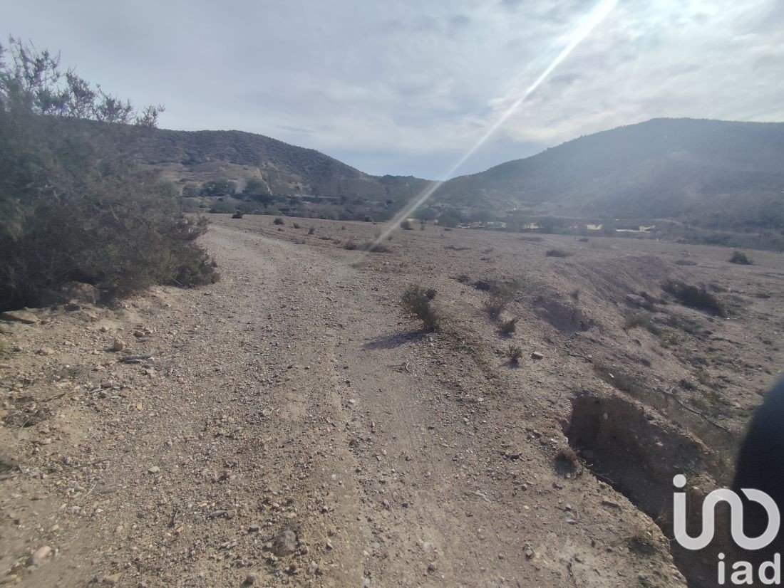 Parcela en Almería, España 32999 m2 No. 186016