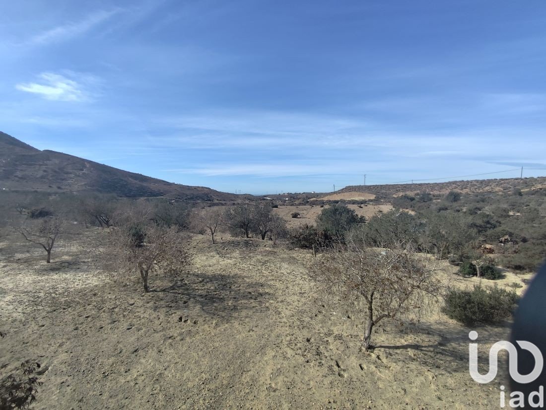 Parcela en Almería, España 32999 m2 No. 186016