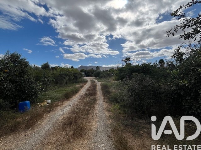 Land plot in Cartama, Malaga, Spain 2469 sq.m. No. 185531