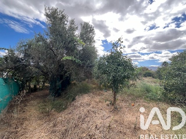 Land plot in Cartama, Malaga, Spain 2469 sq.m. No. 185531