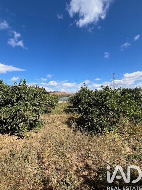 Land plot in Cartama, Malaga, Spain 2469 sq.m. No. 185531