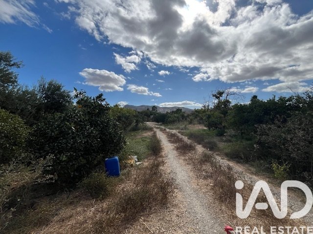 Land plot in Cartama, Malaga, Spain 2469 sq.m. No. 185531