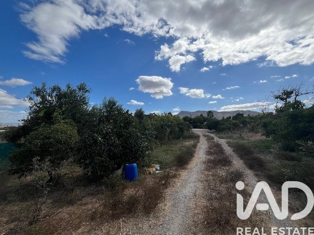 Land plot in Cartama, Malaga, Spain 2469 sq.m. No. 185531