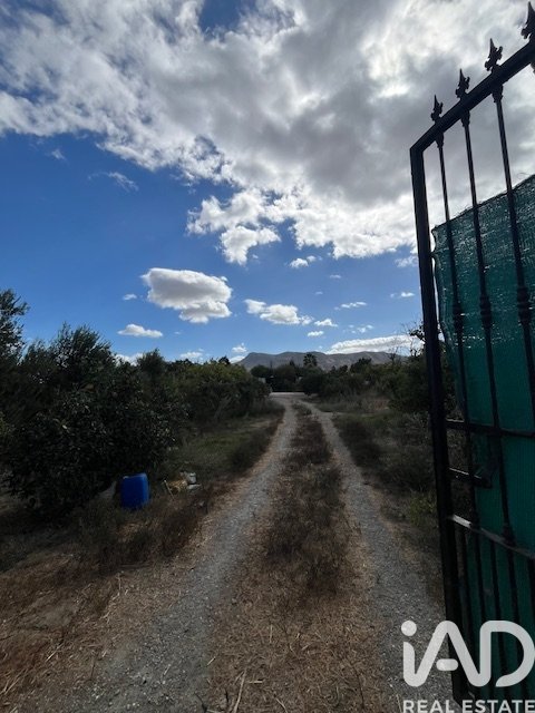 Land plot in Cartama, Malaga, Spain 2469 sq.m. No. 185531