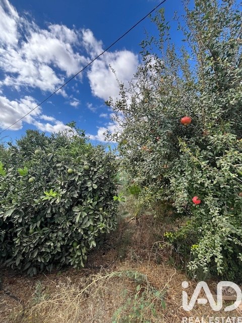 Land plot in Cartama, Malaga, Spain 2469 sq.m. No. 185531