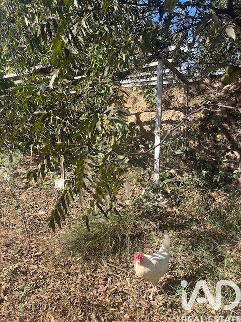 Land plot in Cartama, Malaga, Spain 2469 sq.m. No. 185531
