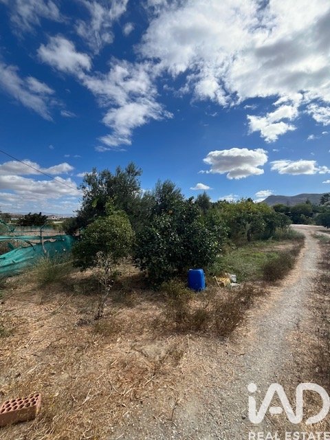 Land plot in Cartama, Malaga, Spain 2469 sq.m. No. 185531