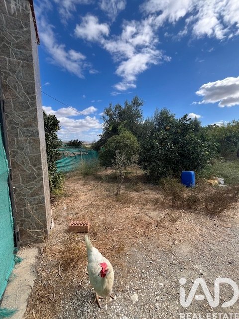 Land plot in Cartama, Malaga, Spain 2469 sq.m. No. 185531
