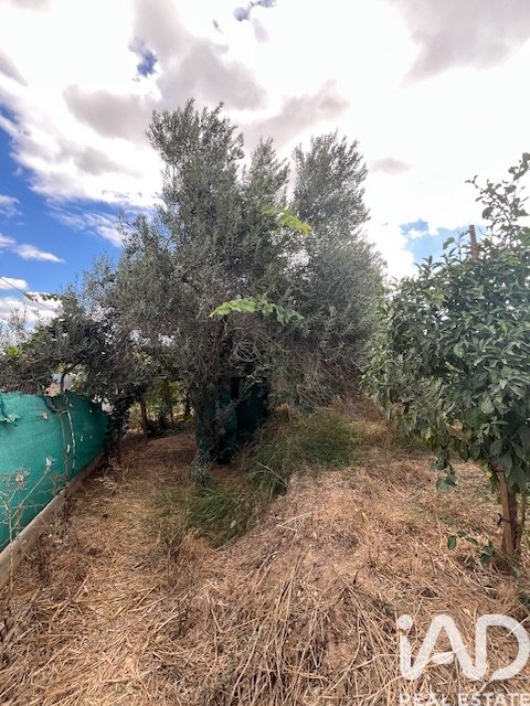 Land plot in Cartama, Malaga, Spain 2469 sq.m. No. 185531