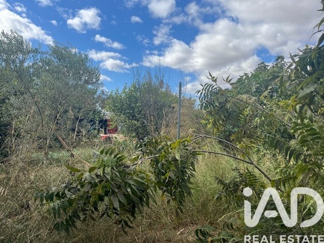 Land plot in Cartama, Malaga, Spain 2469 sq.m. No. 185531