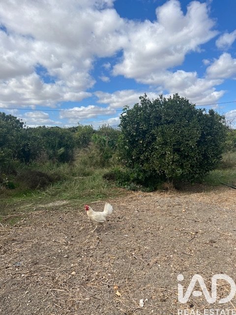 Land plot in Cartama, Malaga, Spain 2469 sq.m. No. 185531