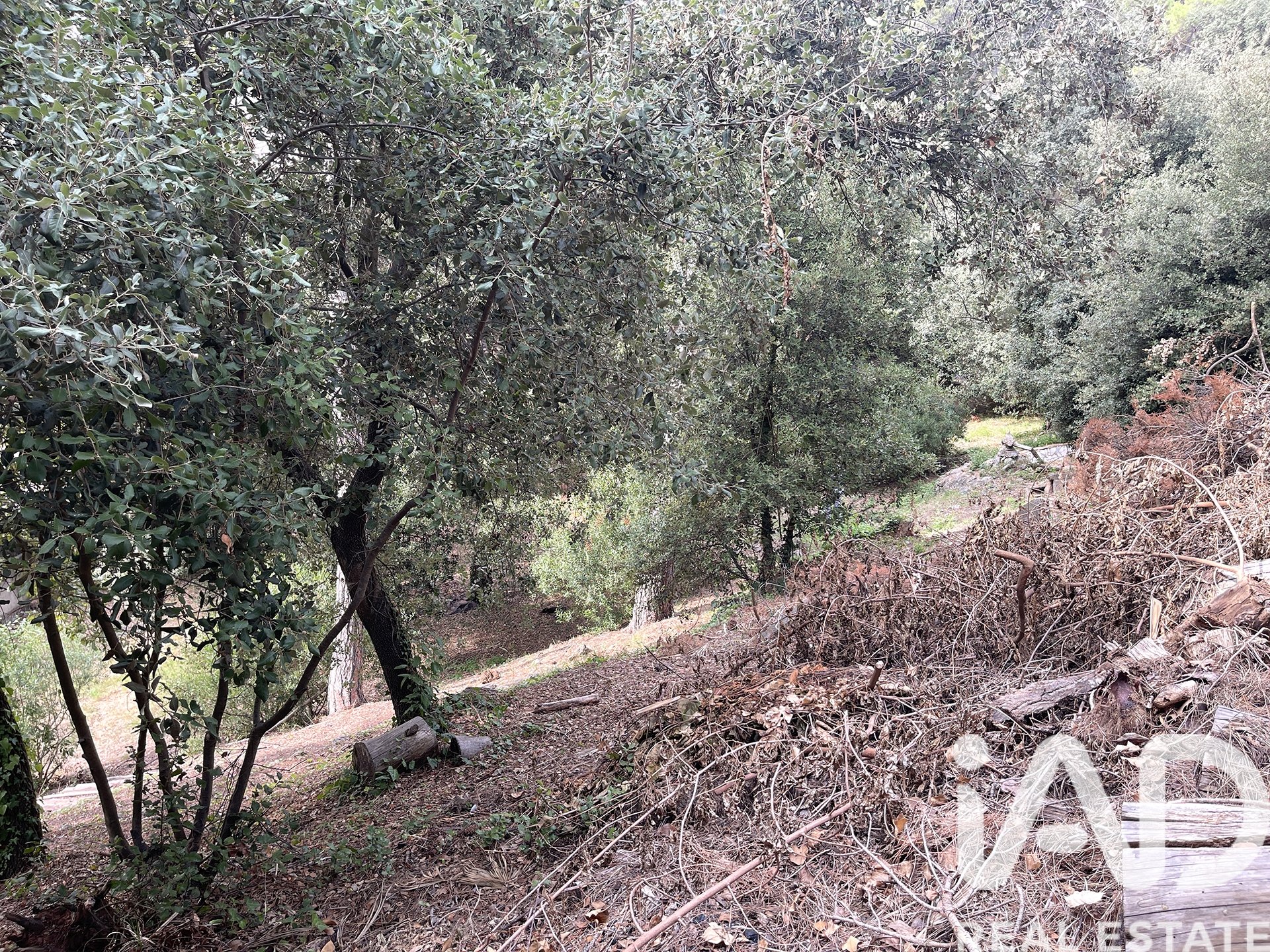 Land plot in Vacarisses, Barcelona, Spain 1855 sq.m. No. 185533