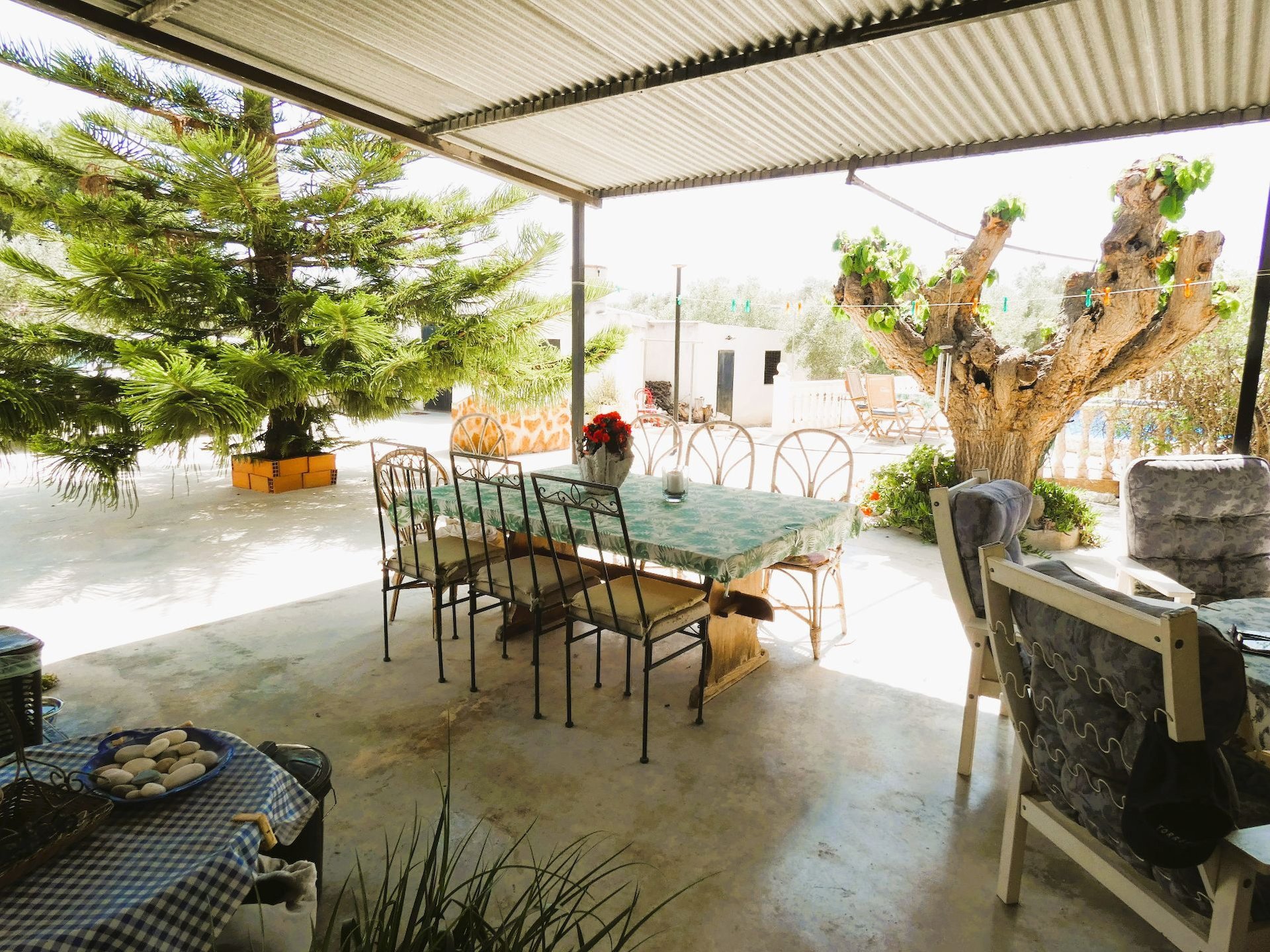 Finca in Dolores, Alicante, Spanien 3 Schlafzimmer, 147 m2 Nr. 114519