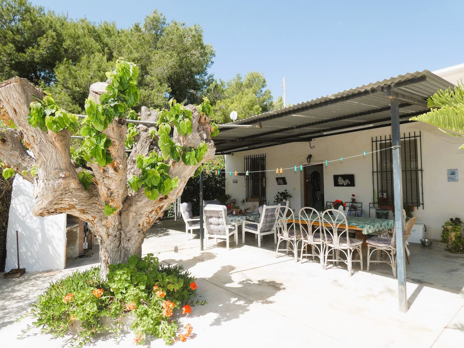 Finca in Dolores, Alicante, Spanien 3 Schlafzimmer, 147 m2 Nr. 114519
