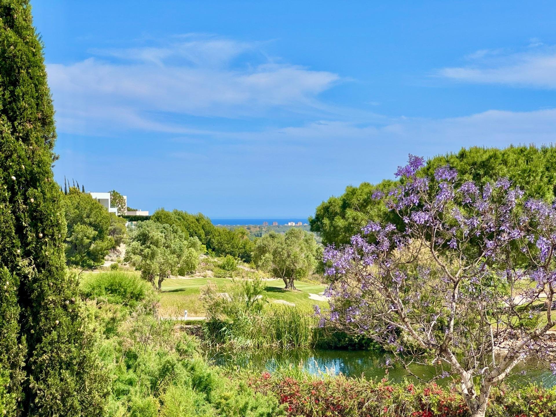 Villa in Pinar De Campoverde, Alicante, Spain 3 bedrooms, 200 sq.m. No. 189499