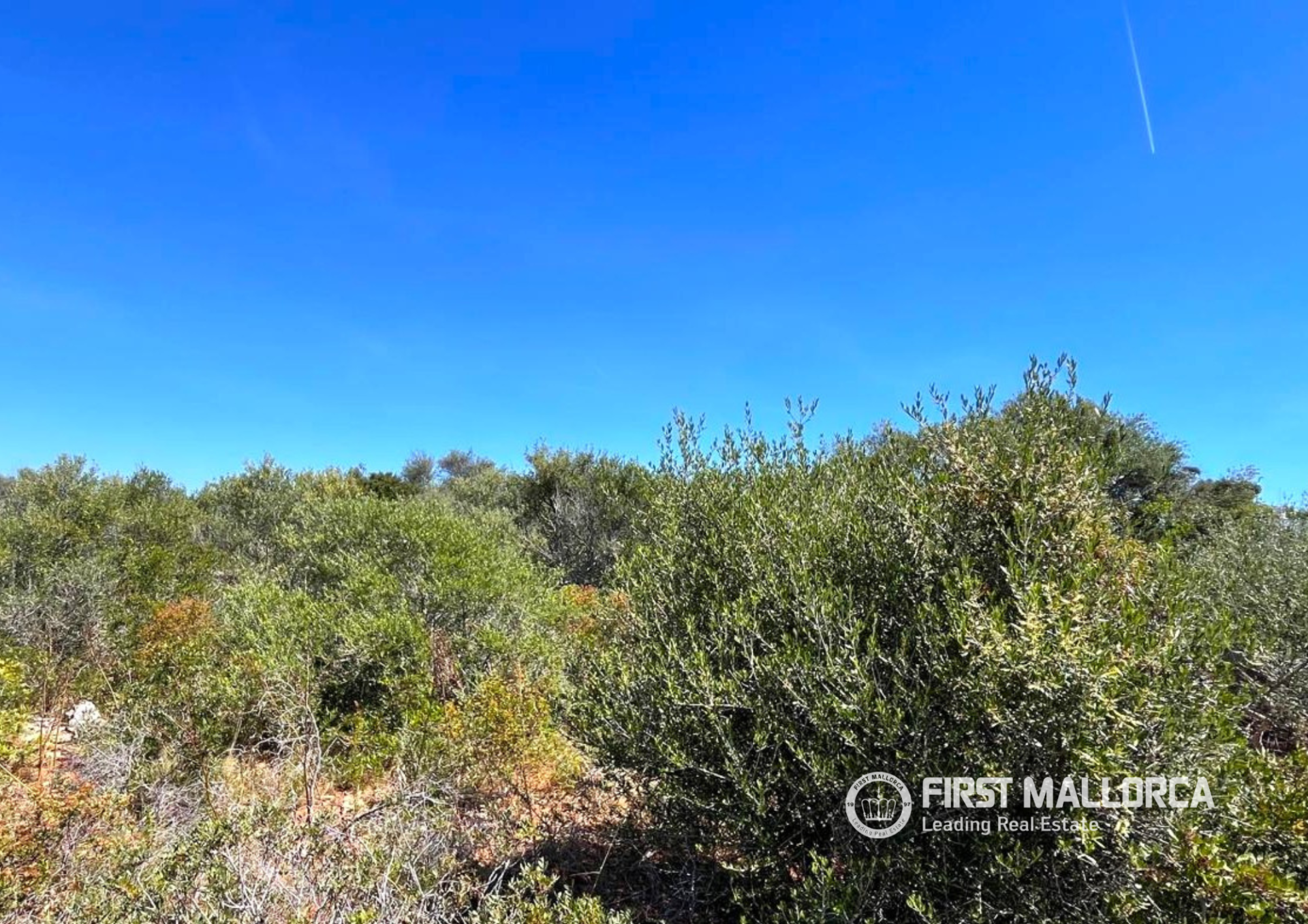 Land plot in Mallorca, Spain 1005 sq.m. No. 168145